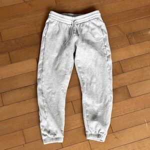 Aritzia Light Gray Sweat Joggers